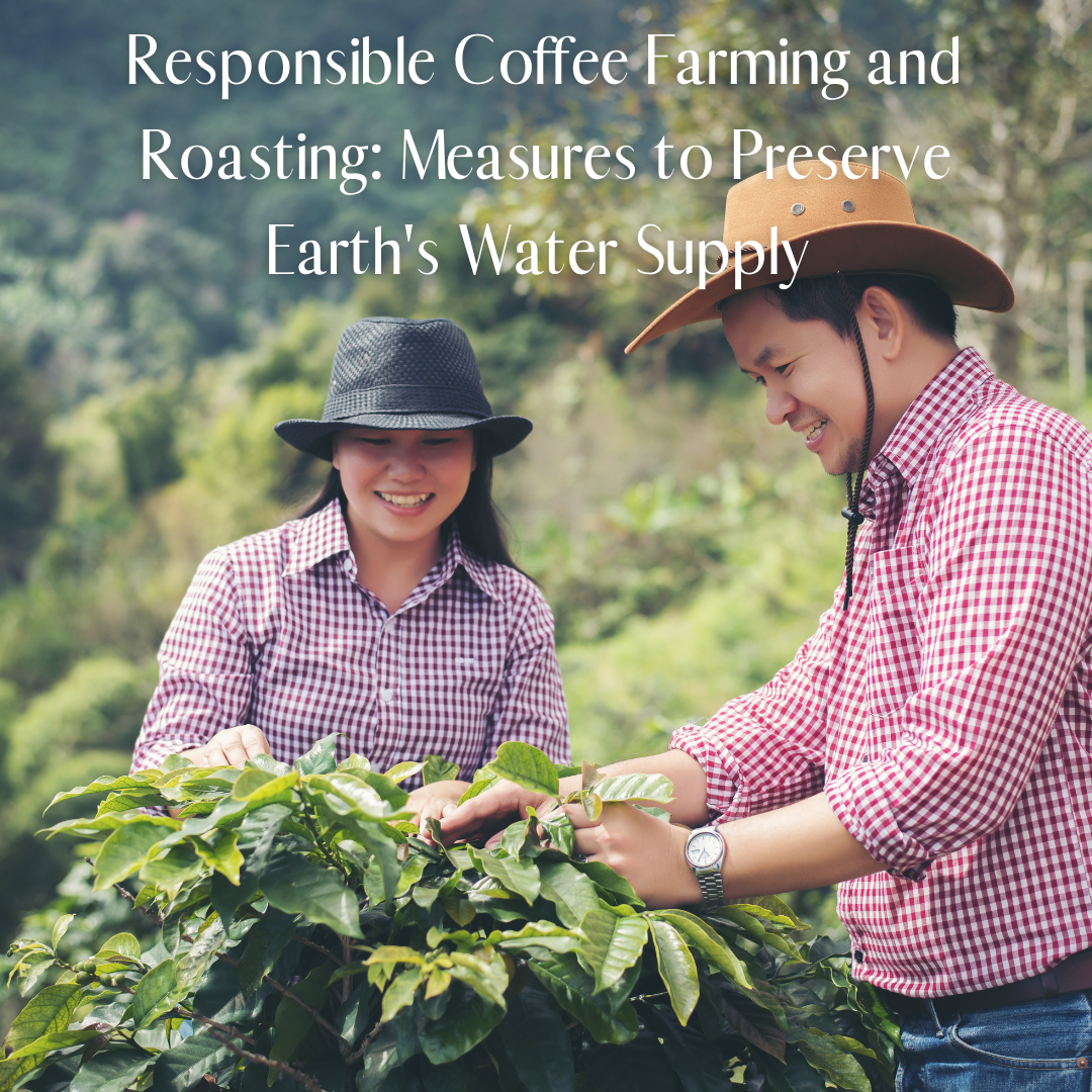 Responsible Coffee Farming and Roasting: Measures to Preserve Earth's Water Supply