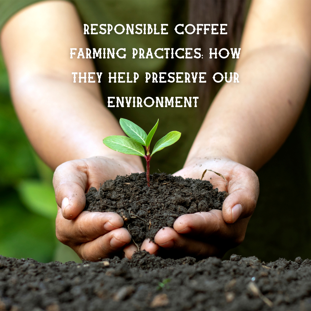 Responsible Coffee Farming Practices: How They Help Preserve Our Environment