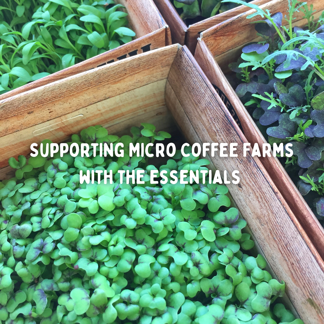 Supporting Micro Coffee Farms with the Essentials