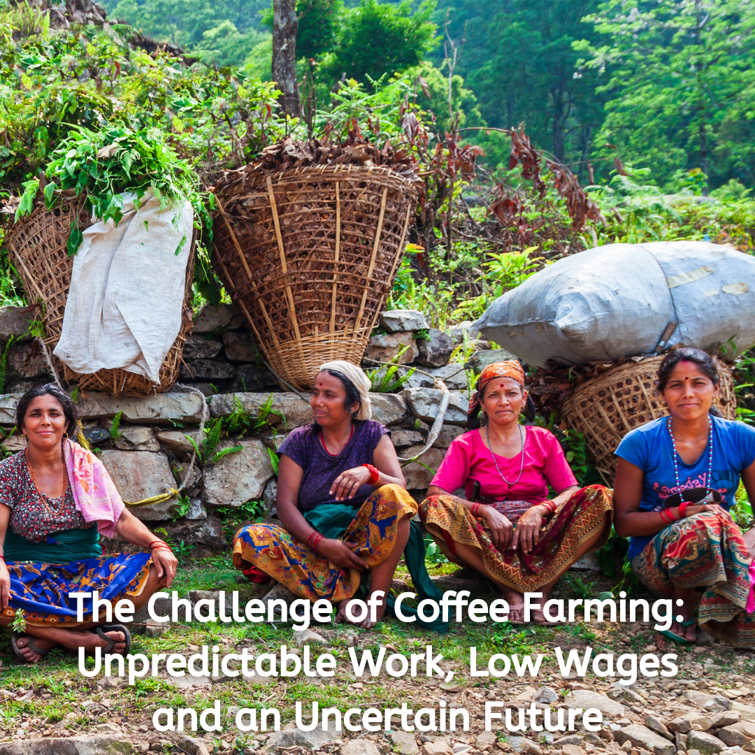 The Challenge of Coffee Farming: Unpredictable Work, Low Wages and an Uncertain Future