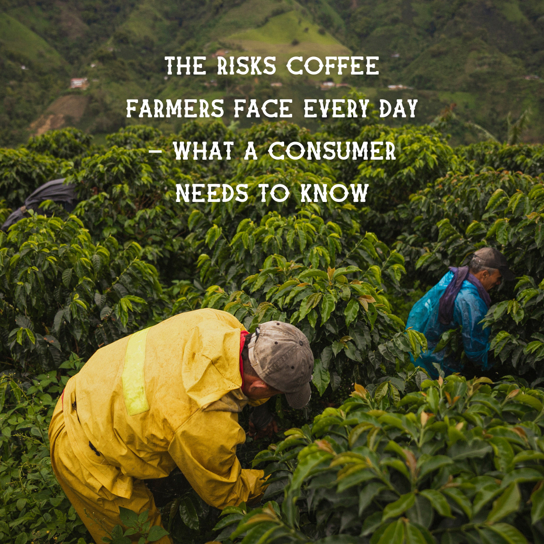 The Risks Coffee Farmers Face Every Day – What a Consumer Needs to Know