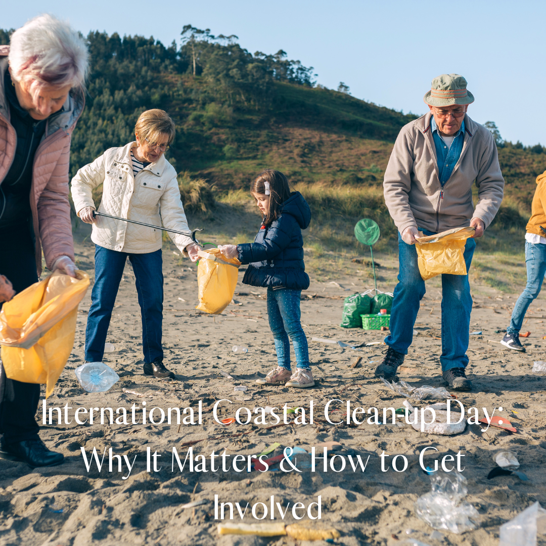 Coastal Clean-up Day: Why It Matters & How to Get Involved